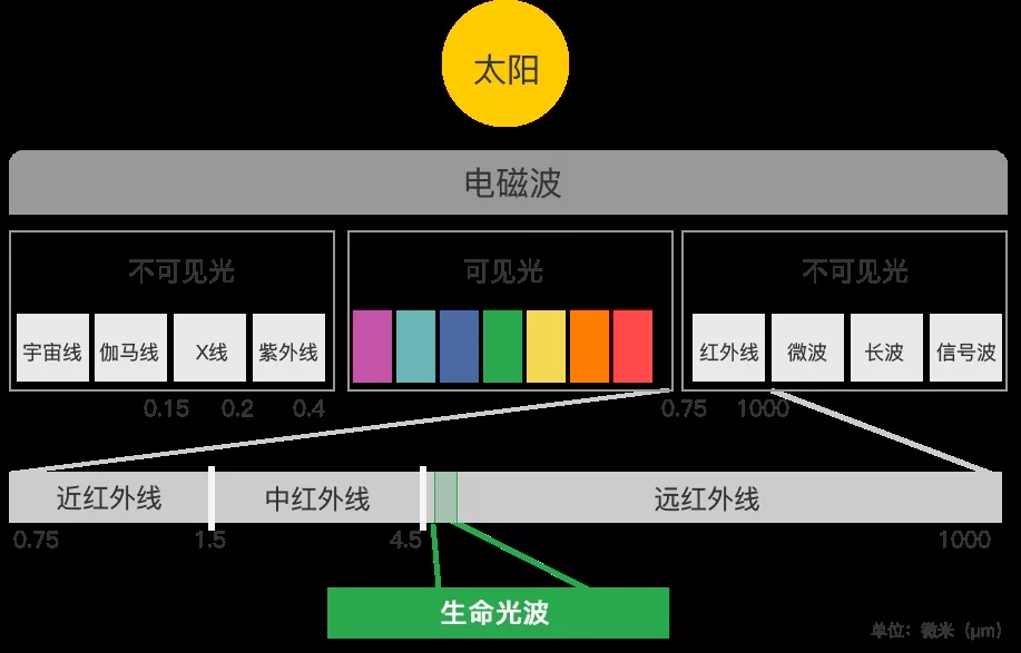 花季传媒免费观看下载瓷砖技术原理